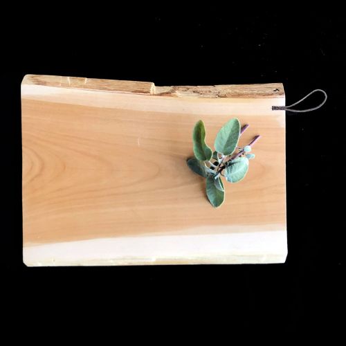 Schneide-/Rüstbrett Rinde mit Lederband