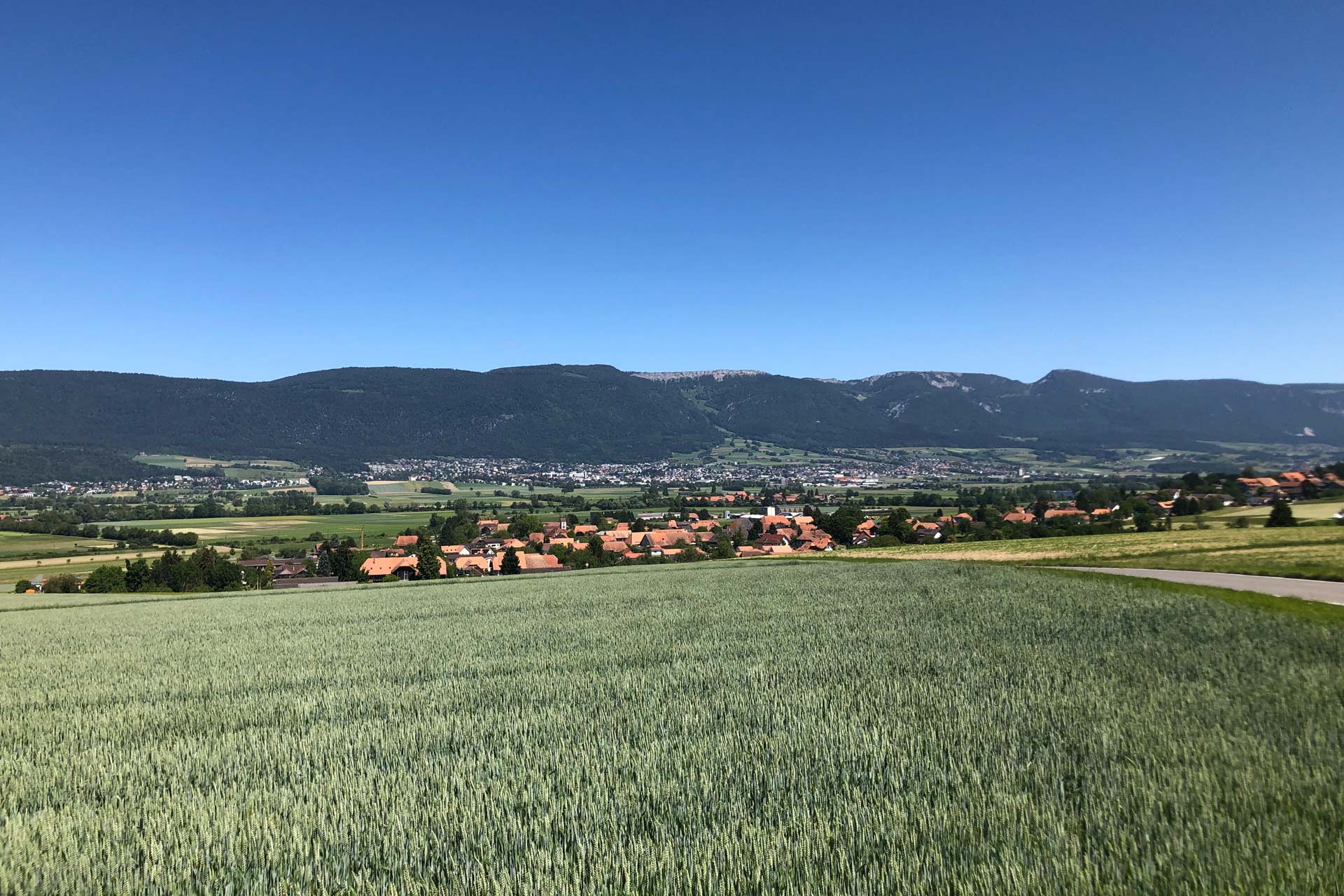 Müller Holzwarenfabrik AG Rüti bei Büren Schweiz - Über uns - Geschichte